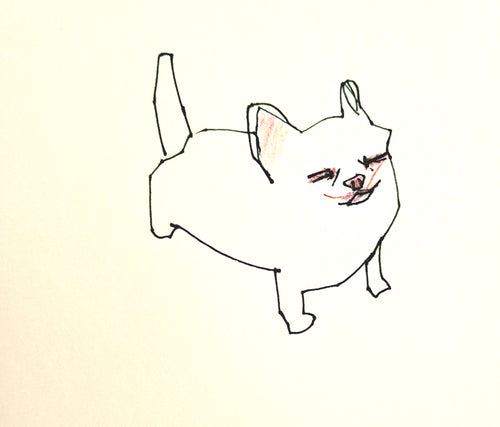 Pet Portrait - WILD