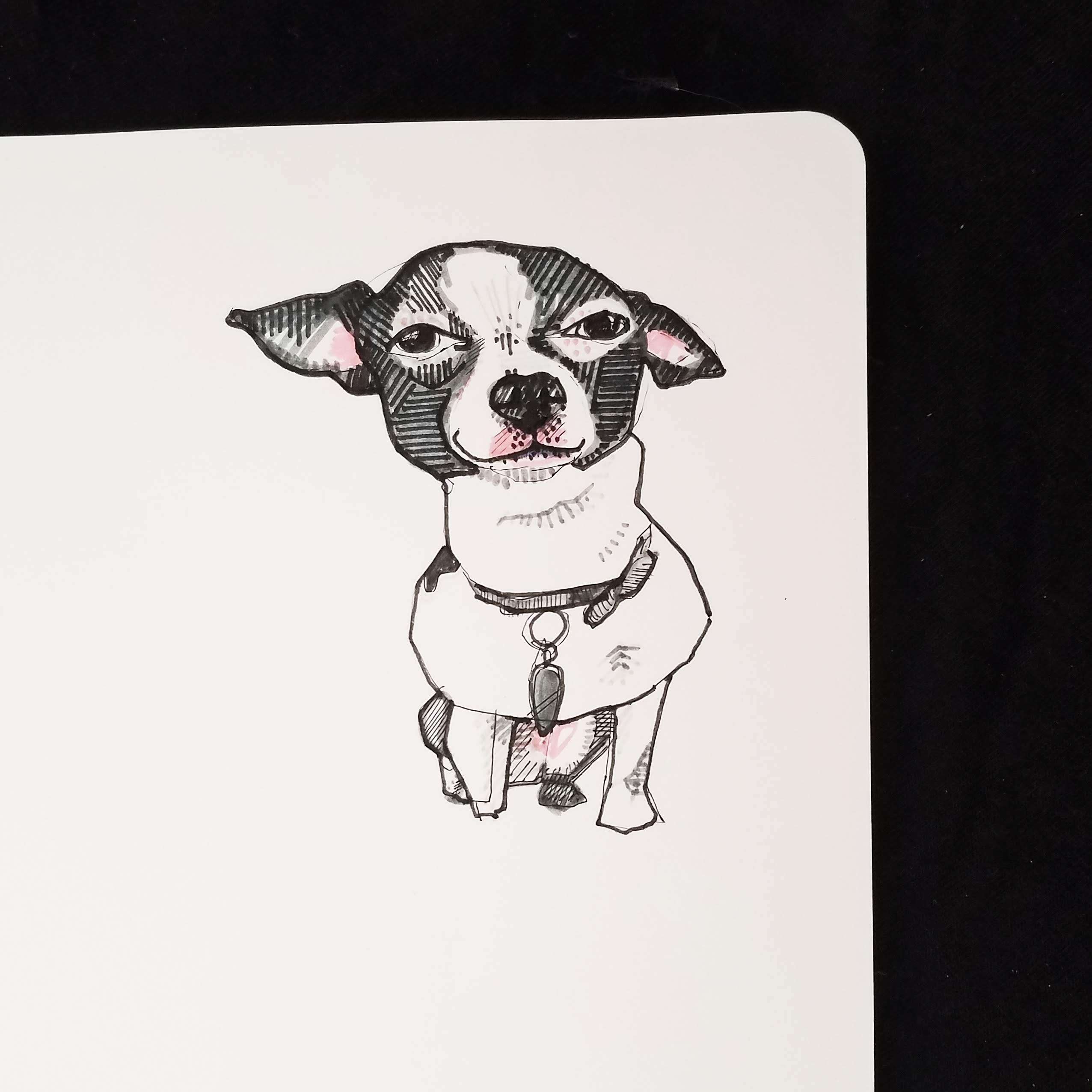 Pet Portrait - COOL