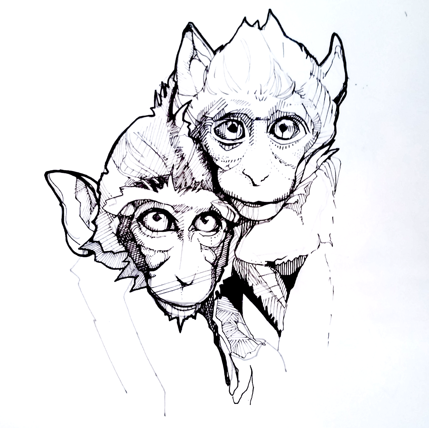 Pet Portrait - MONOCHROMATIC
