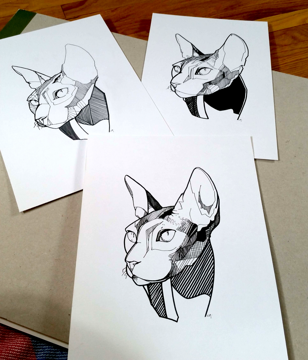 Pet Portrait - MONOCHROMATIC