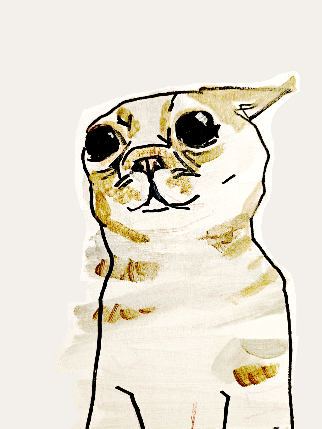 Pet Portrait - WILD