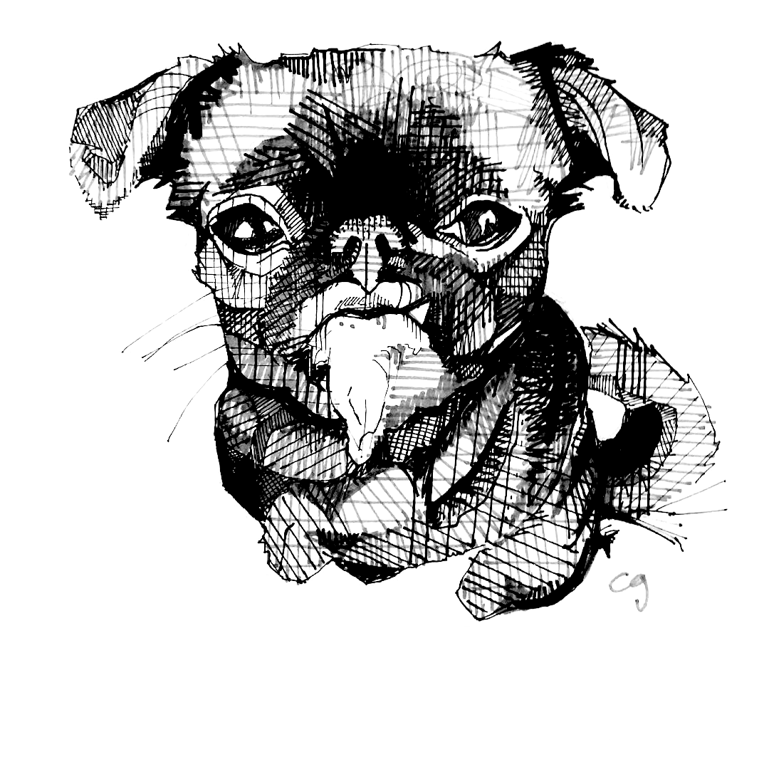 Pet Portrait - WILD