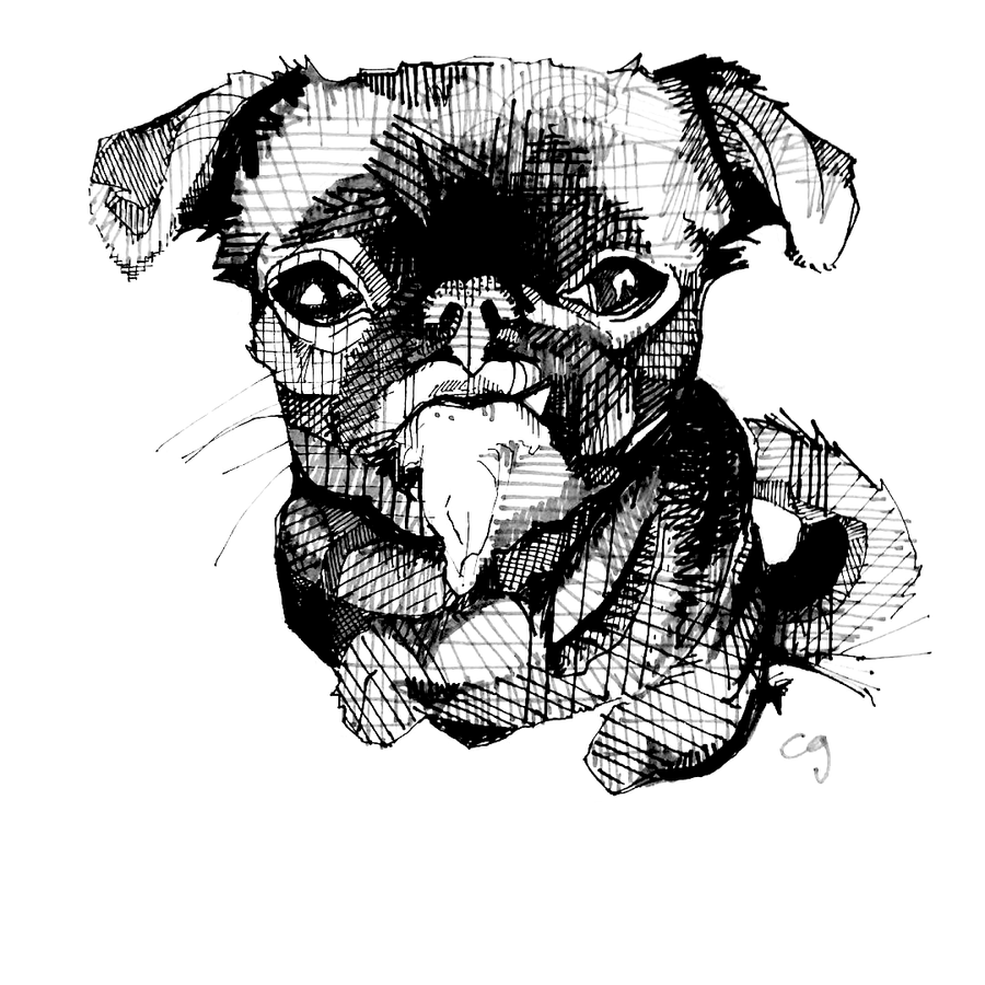 Pet Portrait - MONOCHROMATIC